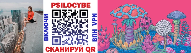 Купить закладки  Староминская  Псилоцибиновые грибы мухоморы 